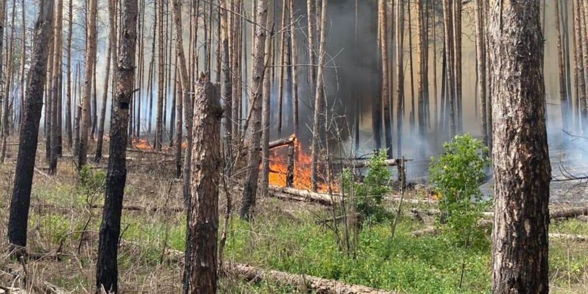 пожежа святі гори 0