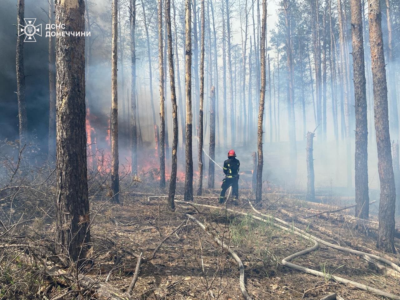 пожежа святі гори 3