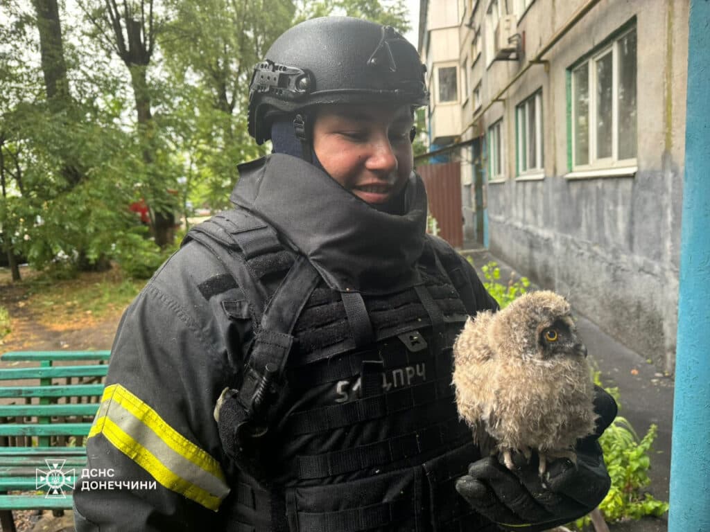 совнята дснс 1