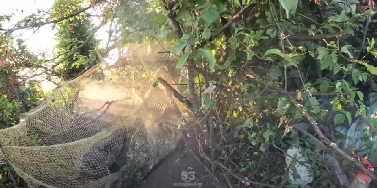 93 омбр