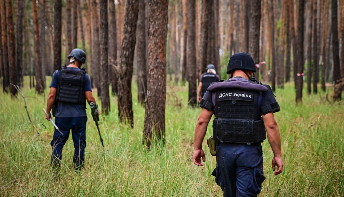 На Лиманщині піротехніки ДСНС виявили три гранатометні осколкові боєприпаси