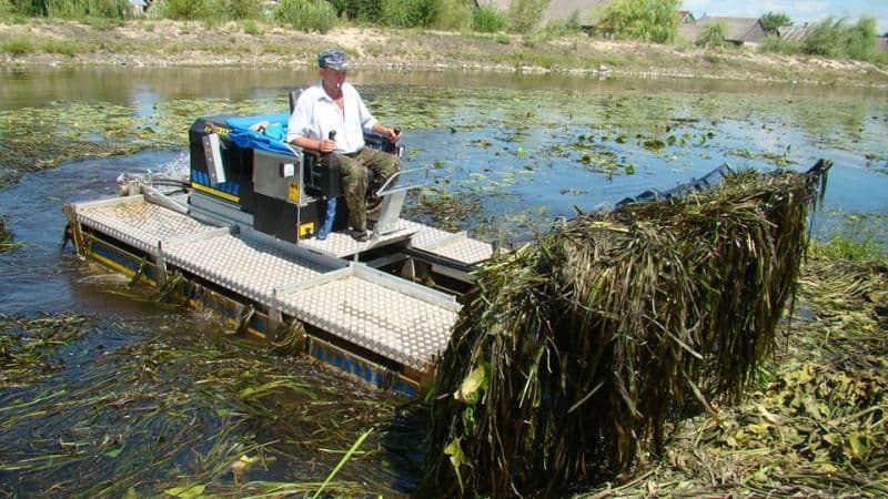 Річка Случ