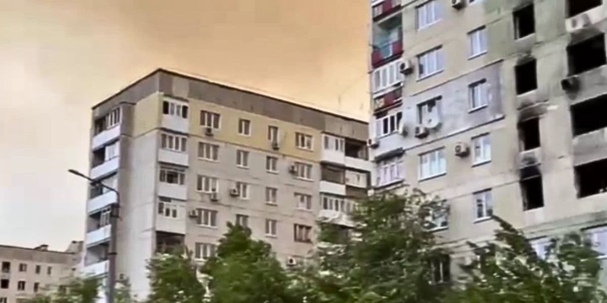 будинки