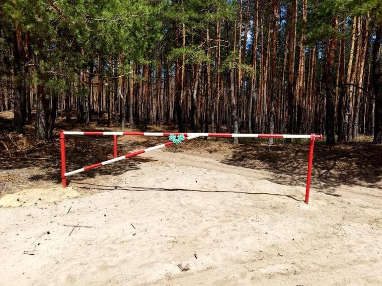 ліс