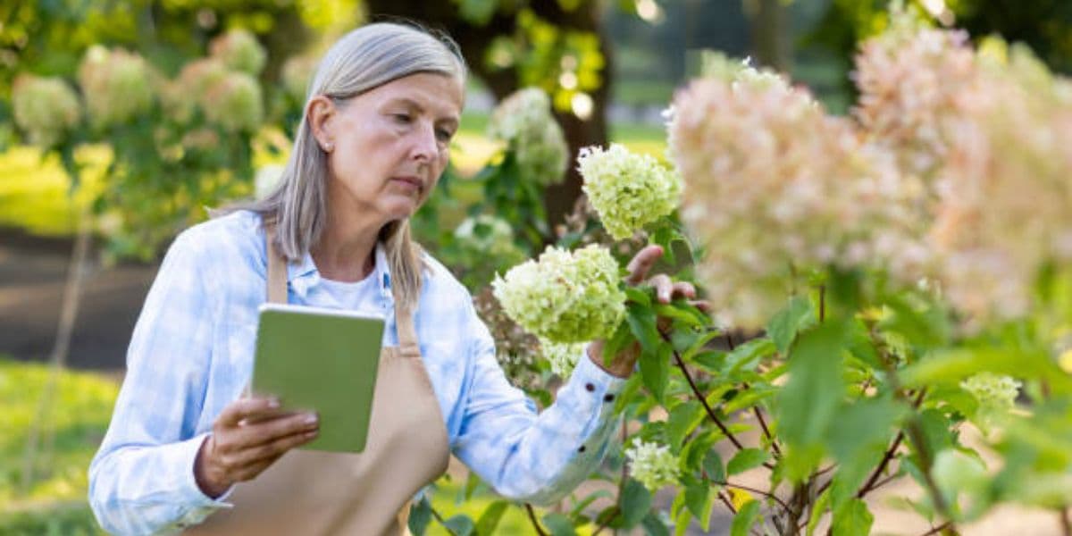 пенсіонерка