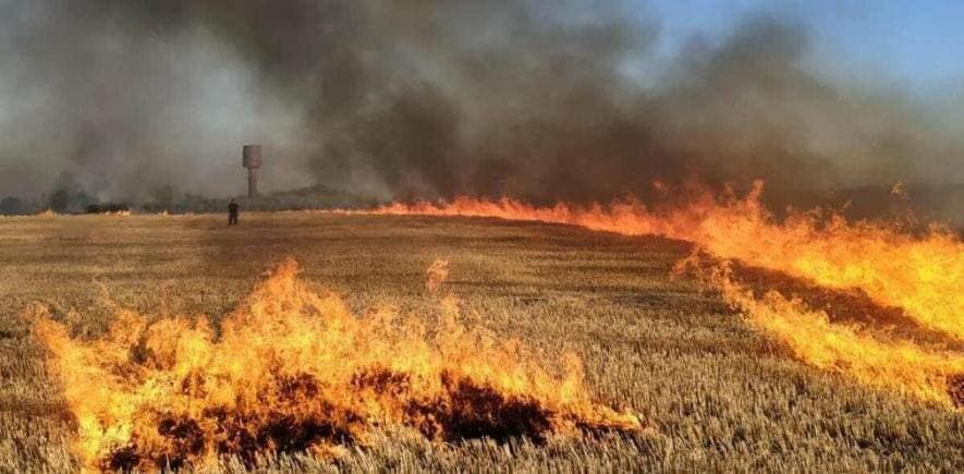 пожежа на полі