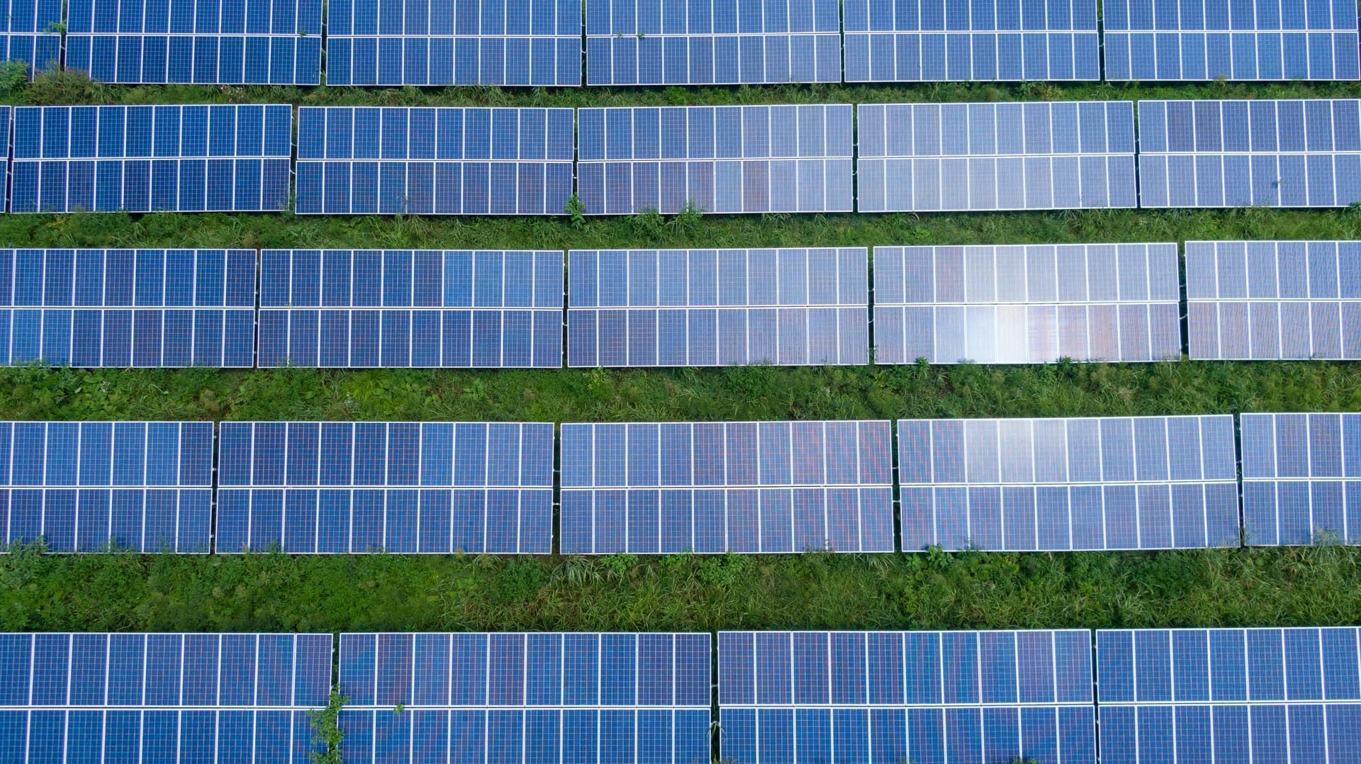 Фото: Pexels