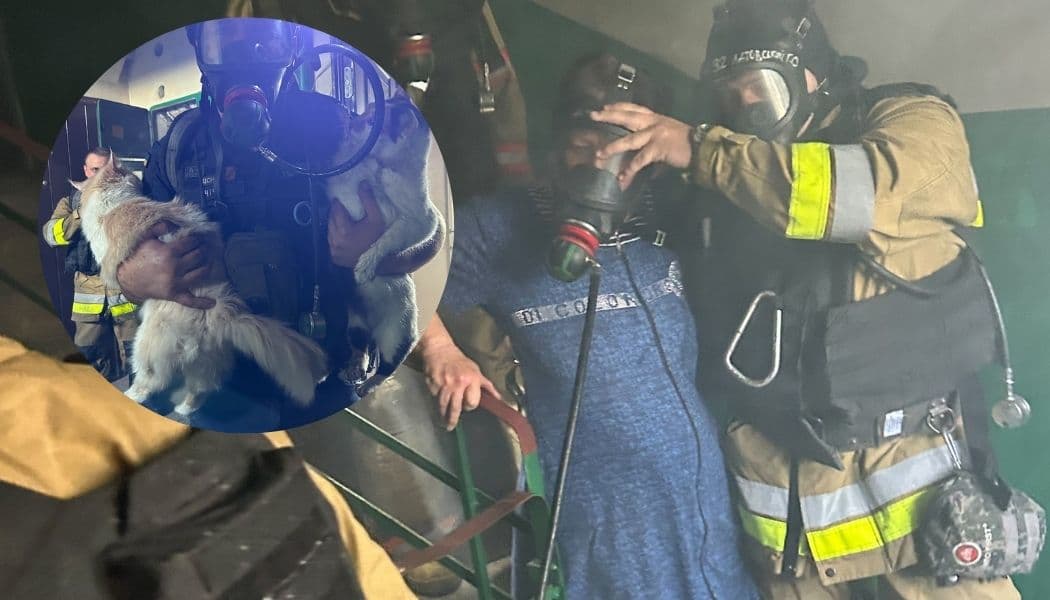 У Курахове під час гасіння пожежі вогнеборці врятували жінку та двох її домашніх улюбленців (фото)