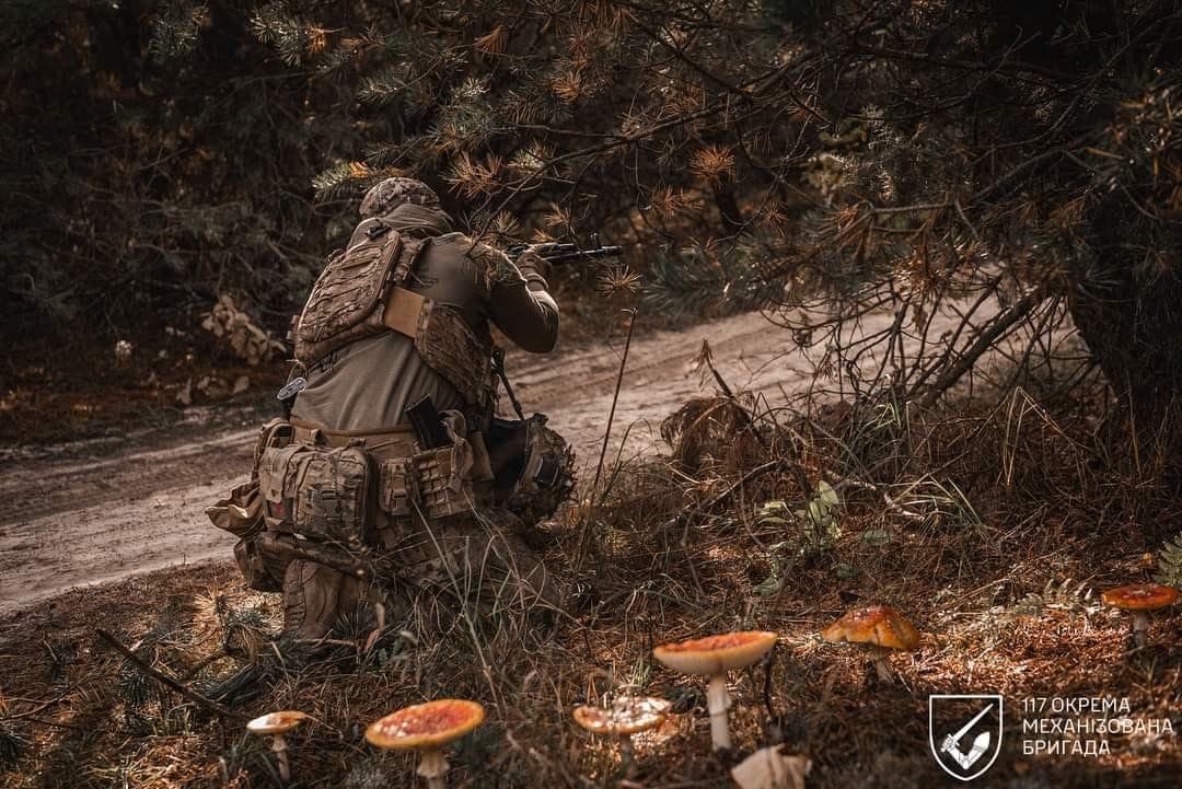 Бійці у лісі