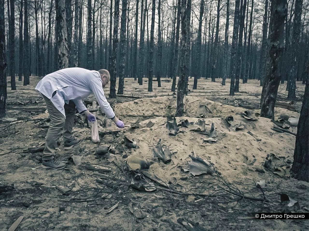 збір матеріалів у лісі