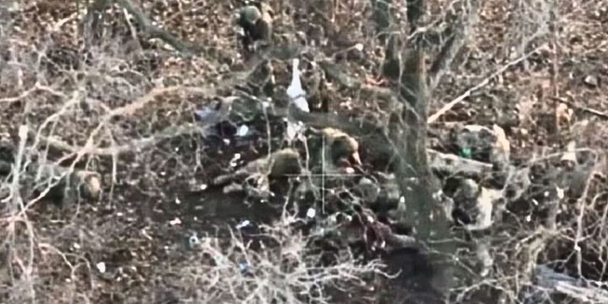 страчені бійці зсу