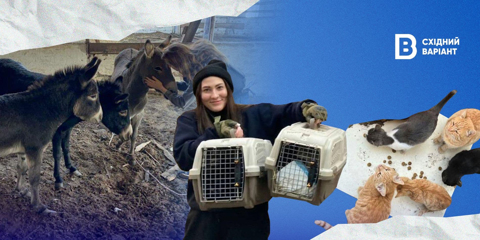 тварини Донеччини