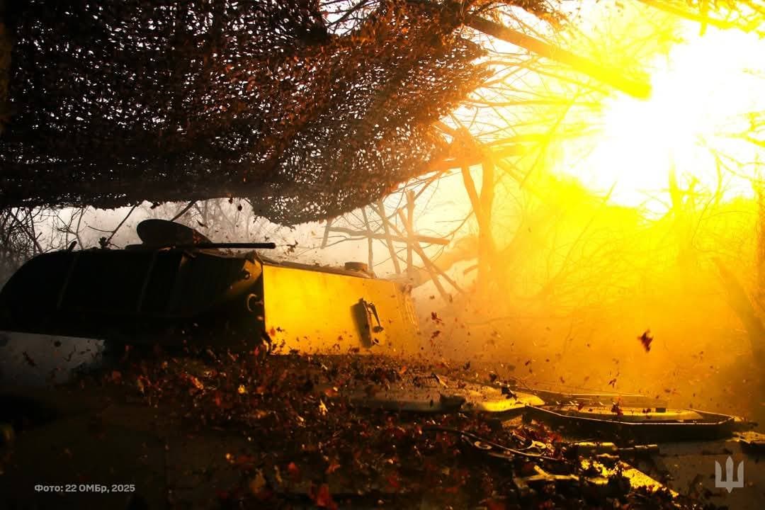 стріляє сау 22 омбр