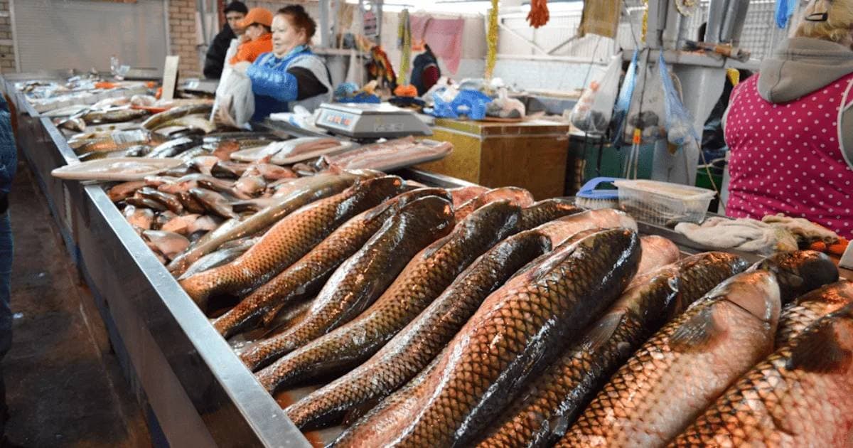 В окупованому Маріуполі зареєстровано кілька випадків ботулізму