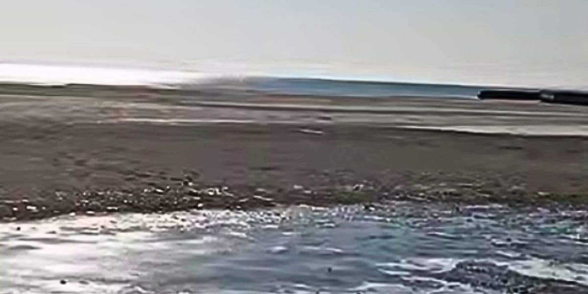 берег азовського моря