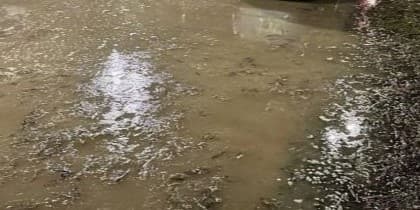 фекальне озеро