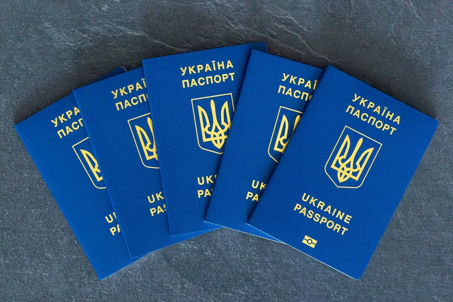 паспорти україни