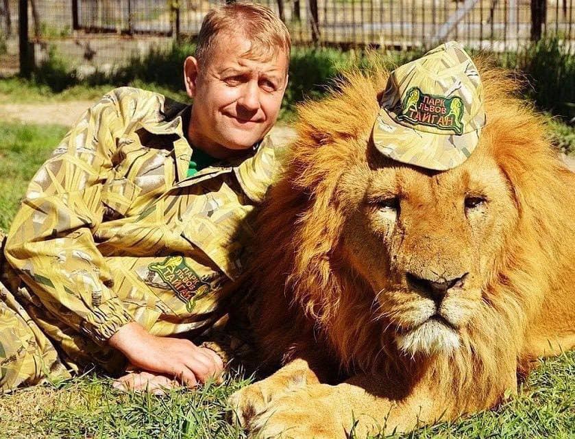 Вивезений лев з Маріуполя напав на власника кримського зоопарку 