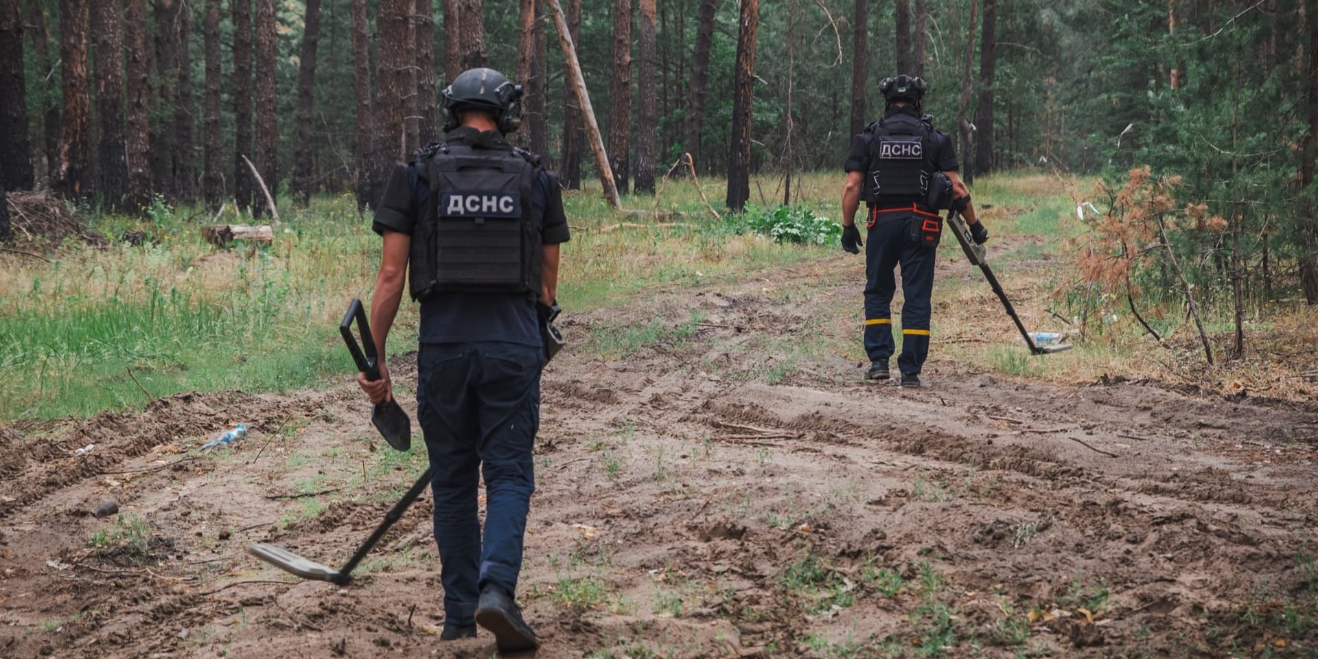 сапери дснс донеччини