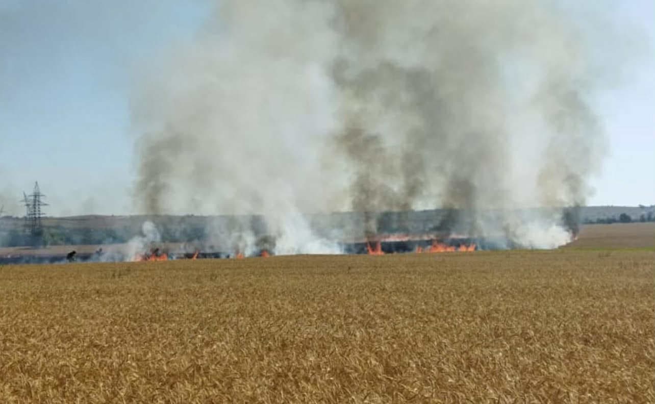 Пожежа на полях іх зерном на Донеччині після російських обстрілів. Фото: ДСНС Донеччини