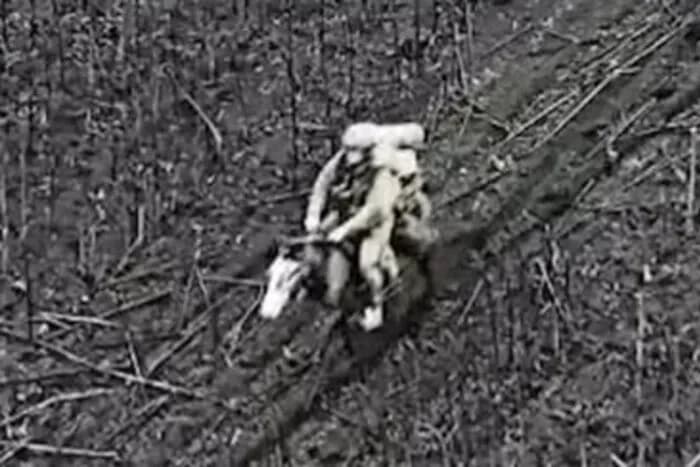 На Покровському напрямку окупанти провалили новий вид штурму на коні