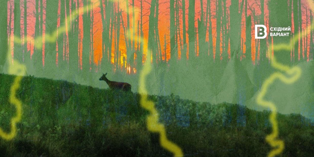 Небачена сила війни: як бойові дії змінюють довкілля сходу України