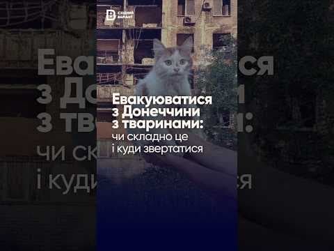 Евакуація з Донеччини з тваринами