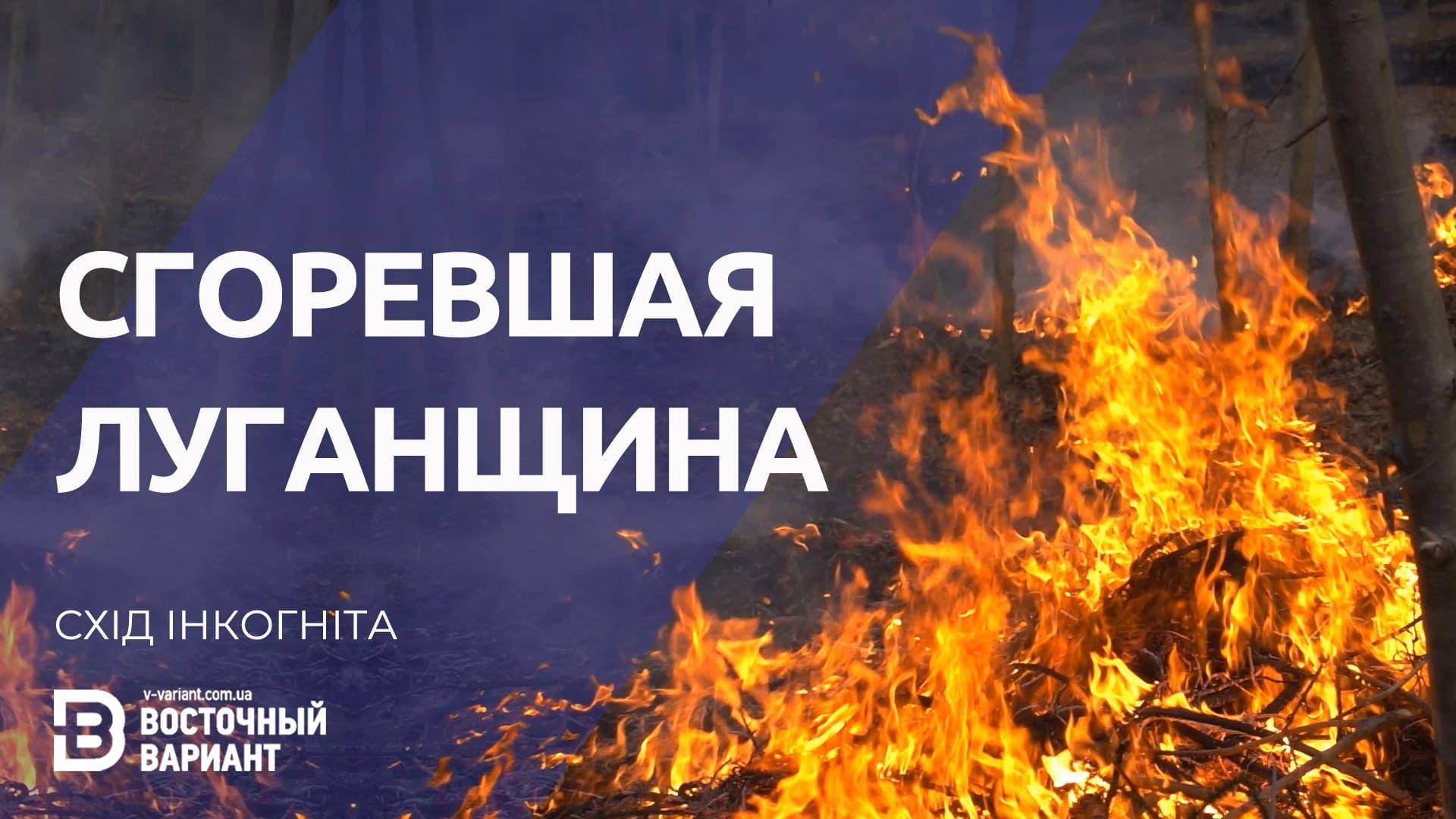 Рыжий лес на Луганщине. Ужасные последствия лесных пожаров лета 2020