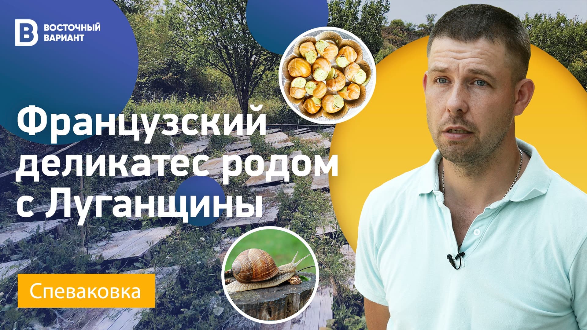 Улитки из Донбасса в Европу. Как переселенец из Луганска делает экзотический бизнес