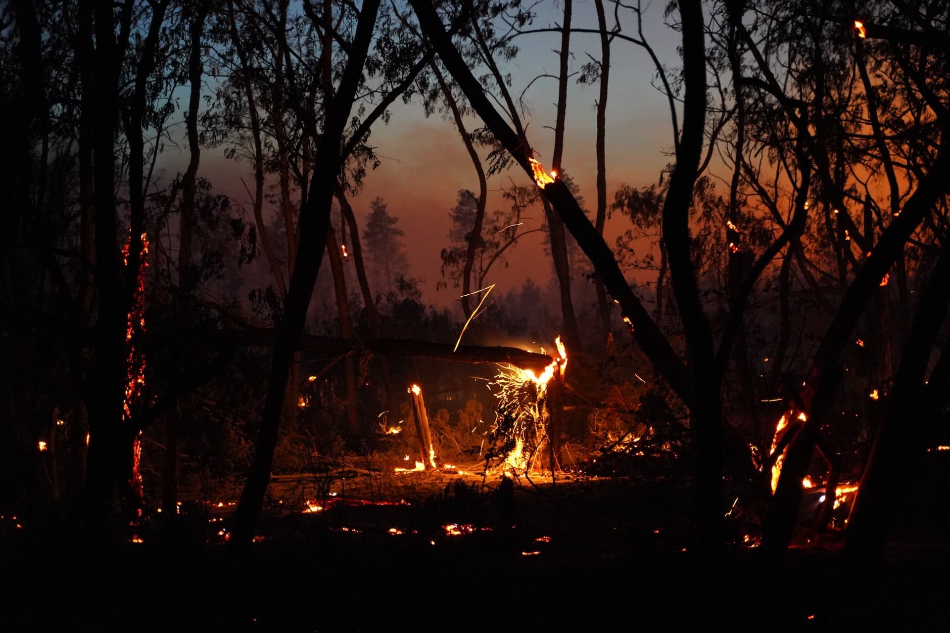Вражеская диверсия или прихоти погоды: Луганщина снова в огне