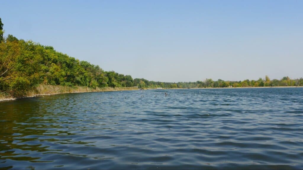 Добыча лечебной грязи в Славянске вызвала скандал: что происходит на самом деле