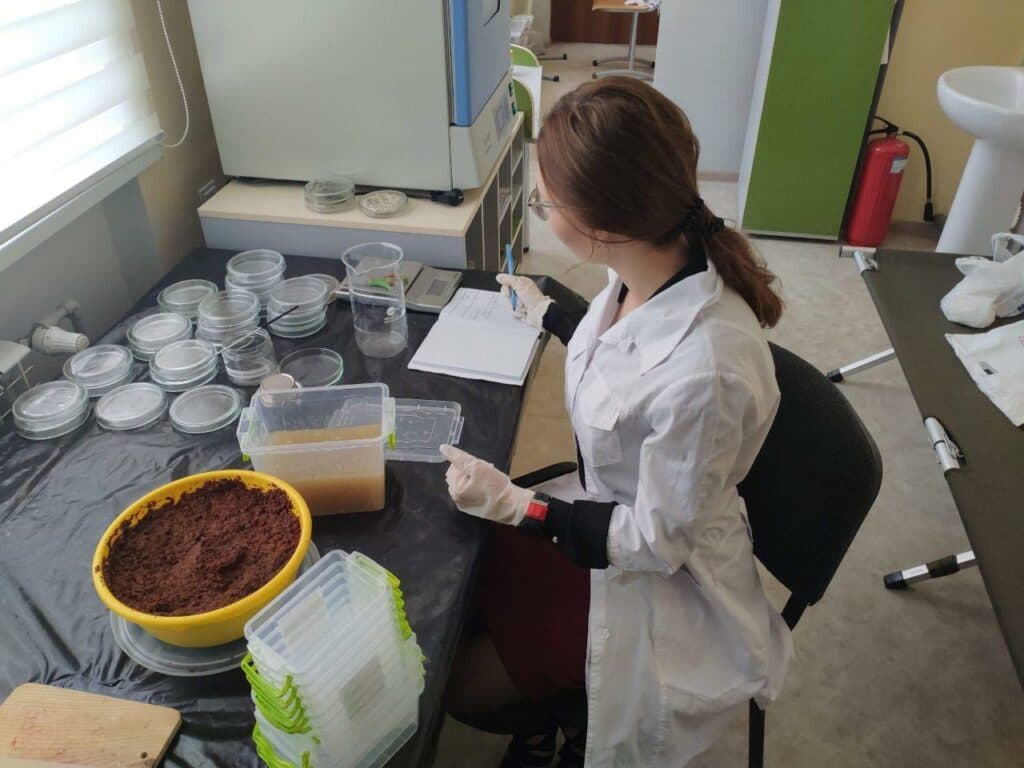 Каштановая упаковка: как выпускница мариупольского лицея придумала новый экологичный материал