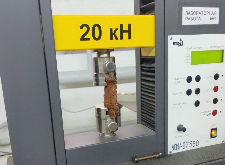 Каштановая упаковка: как выпускница мариупольского лицея придумала новый экологичный материал