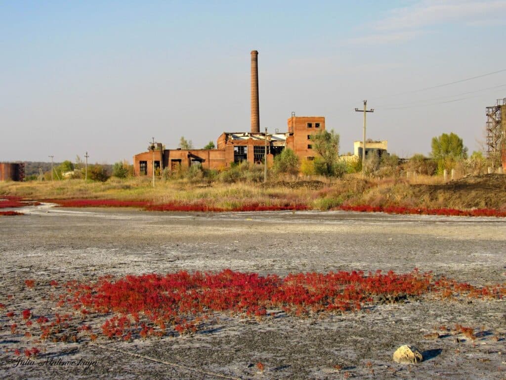 Солерос на Славкурорте