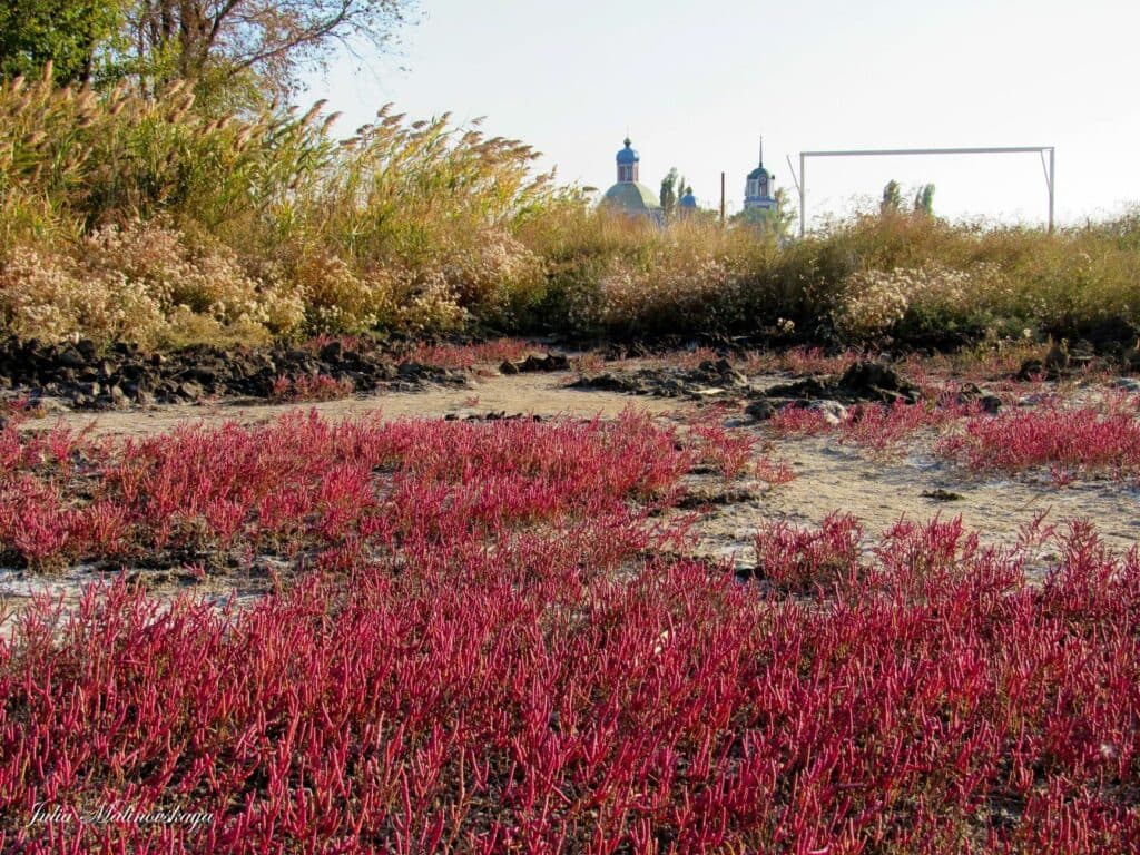 Солерос на Славкурорте