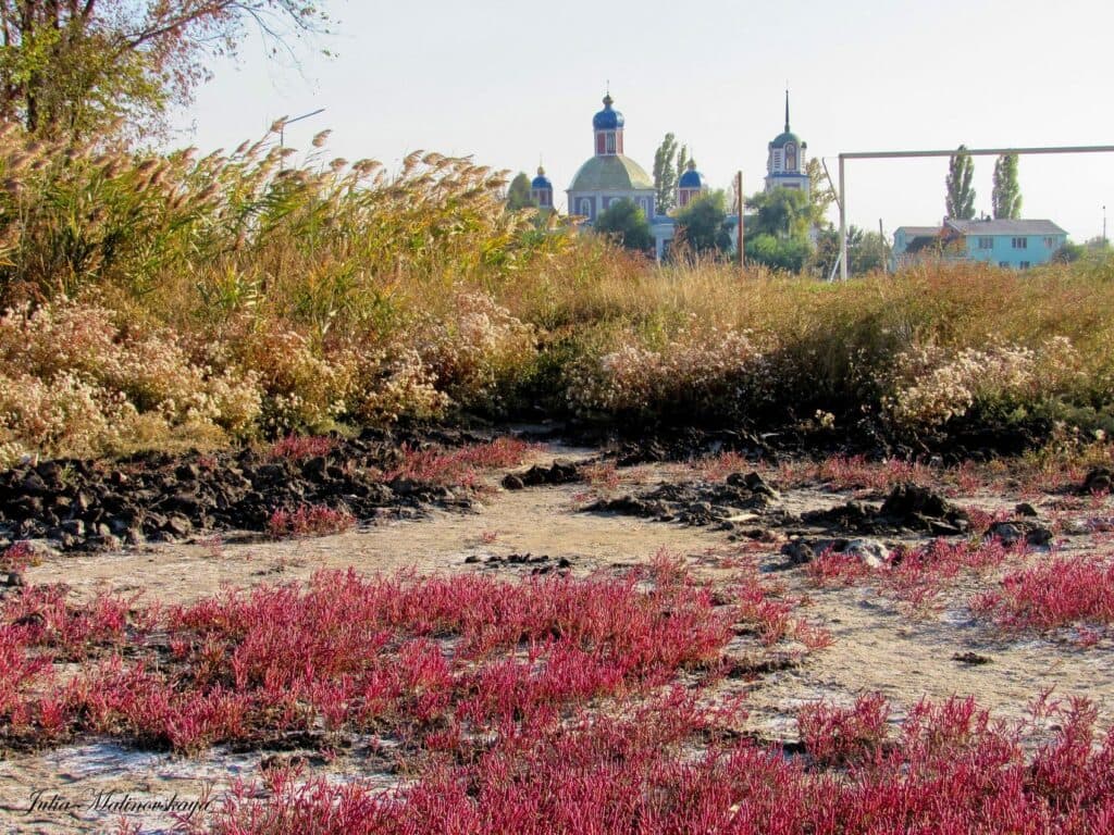 Солерос на Славкурорте