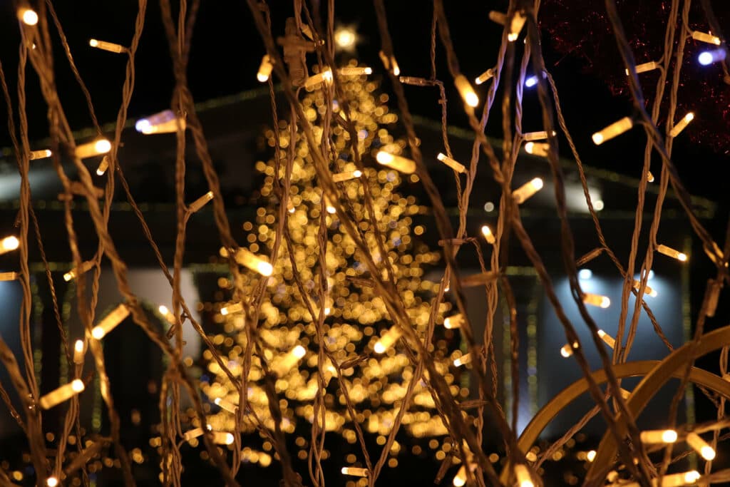 Праздник начинается: что стоит посмотреть на главной новогодней локации Мариуполя