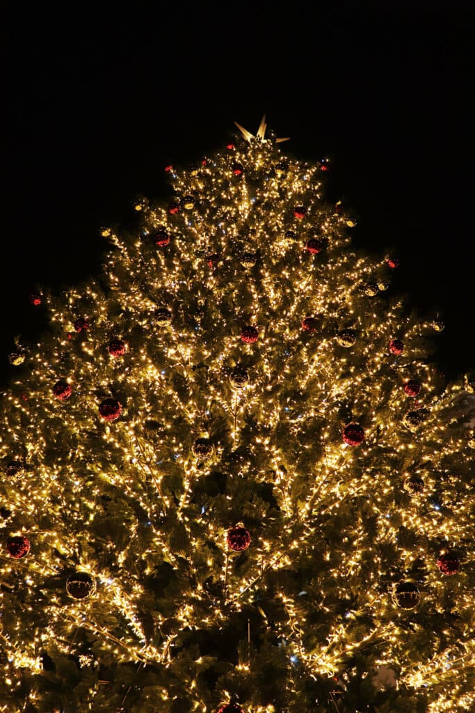 Праздник начинается: что стоит посмотреть на главной новогодней локации Мариуполя