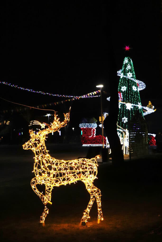 Праздник начинается: что стоит посмотреть на главной новогодней локации Мариуполя