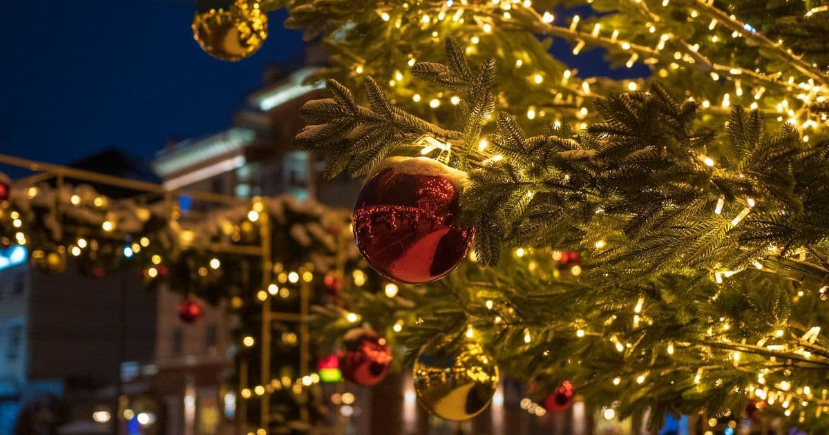 Новогодняя Донетчина: топ-5 городских ёлок и их бюджеты