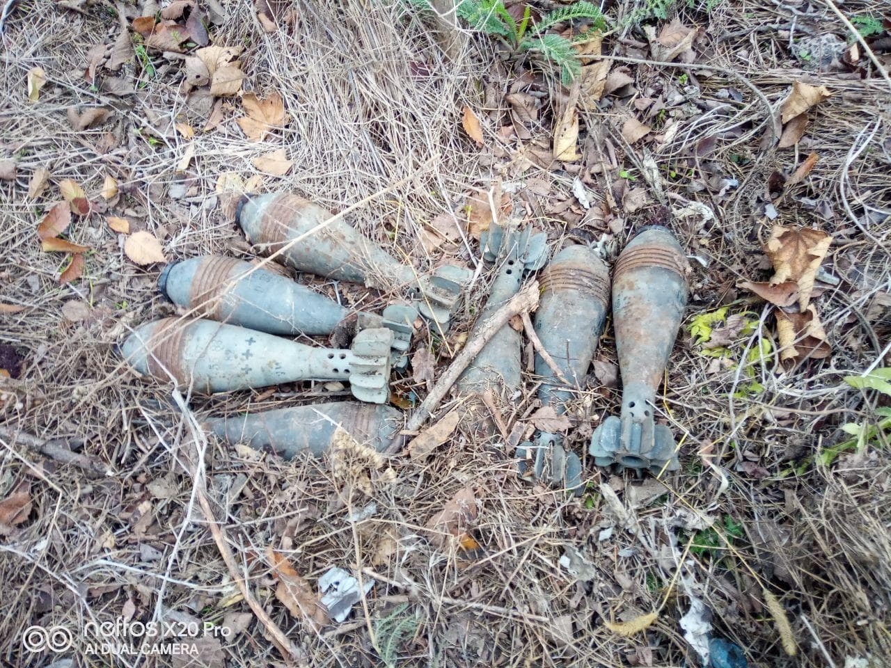 Тайник з мінами виявили поблизу від автодороги на Донеччині