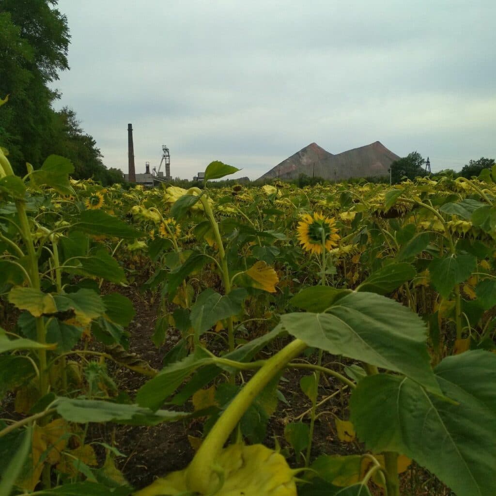 Игра, чтобы влюбится в город. Как студентка создаёт "настолку" о Лисичанске