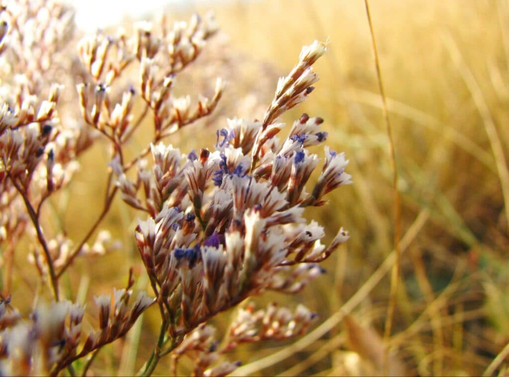 "Хобби, которое украшает жизнь": как житель Донетчины выиграл фотоконкурс Википедии