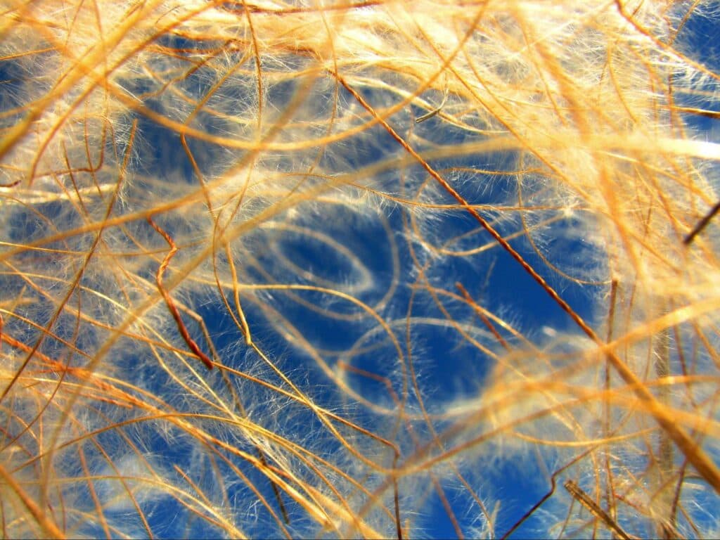 "Хобби, которое украшает жизнь": как житель Донетчины выиграл фотоконкурс Википедии