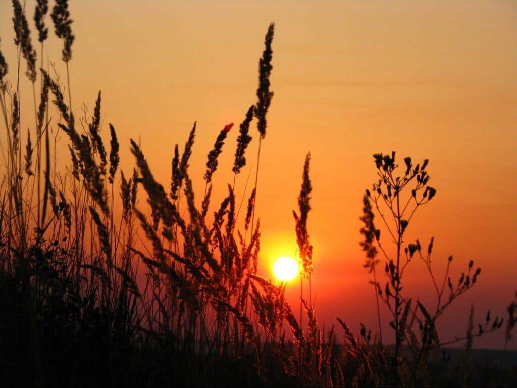 "Хобби, которое украшает жизнь": как житель Донетчины выиграл фотоконкурс Википедии