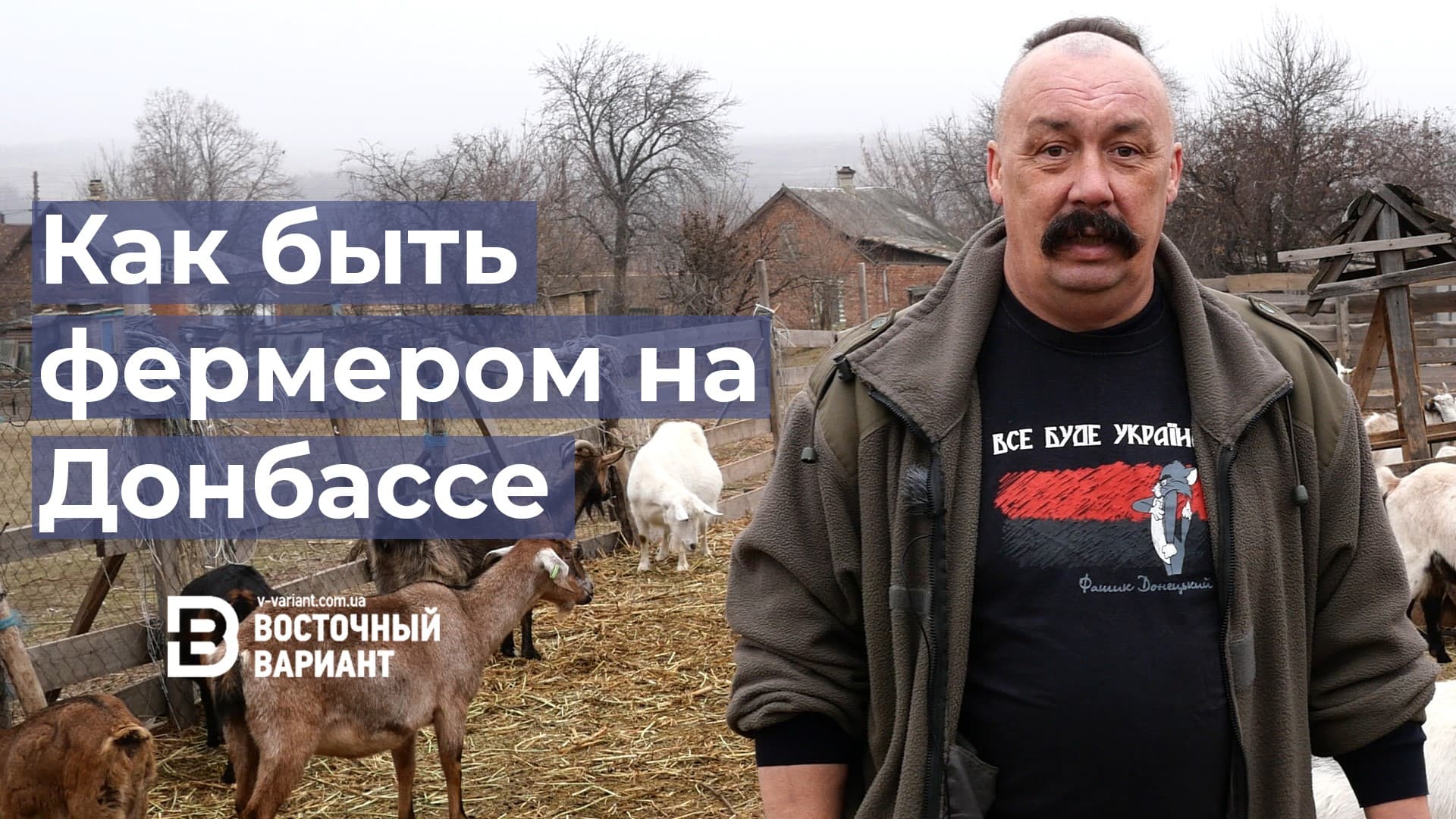 Восточный вариант Денис Казанский Солнце Украины встает на Донбассе