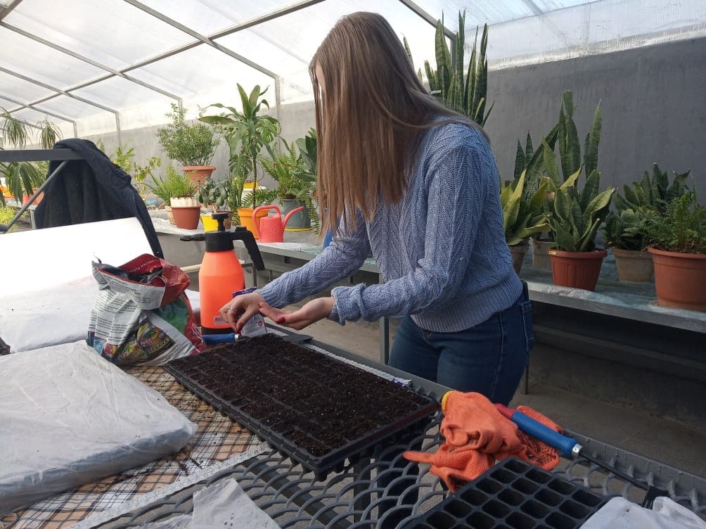 Современный хаб в школьной теплице. Как в Северодонецке мотивируют детей к обучению