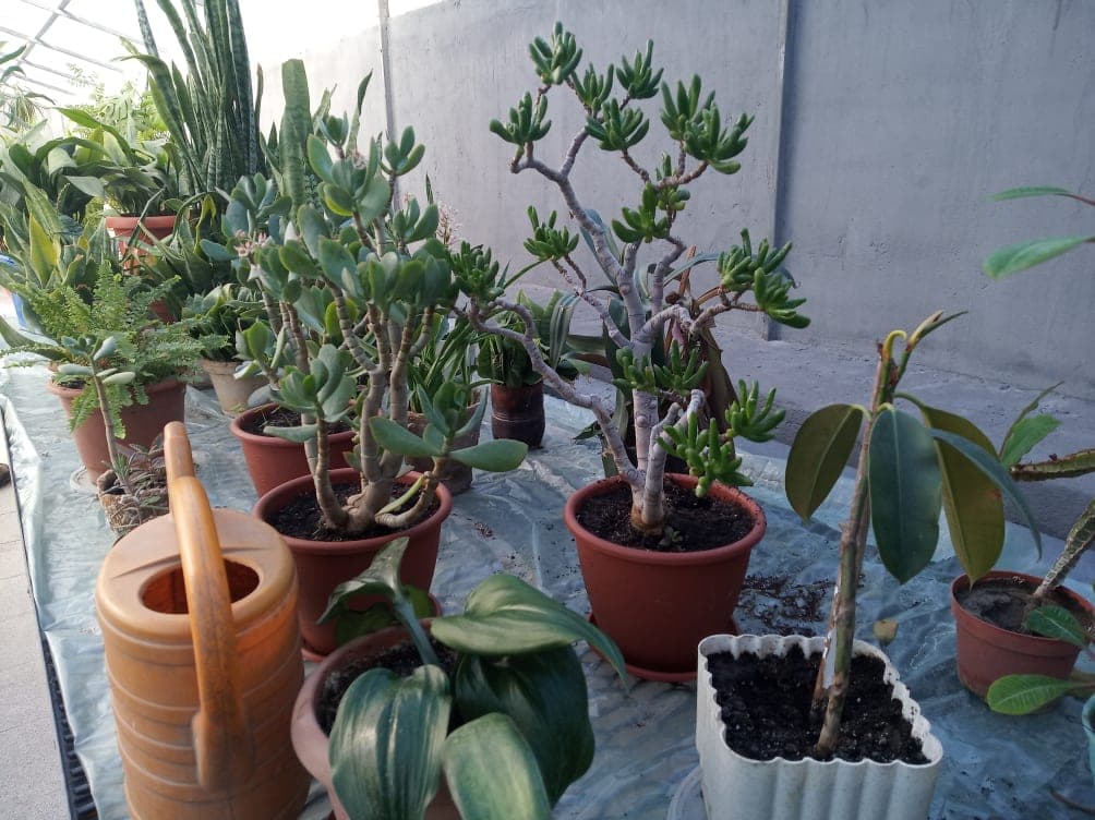 Современный хаб в школьной теплице. Как в Северодонецке мотивируют детей к обучению