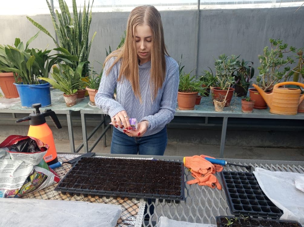 Современный хаб в школьной теплице. Как в Северодонецке мотивируют детей к обучению