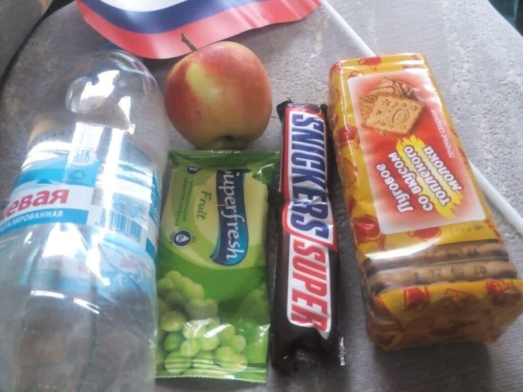 выборы рф донбасс